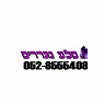 סלע נגררים בחצור הגלילית סלע נגררים בחצור הגלילית
