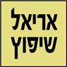 אריאל אטיה שיפוצים ברמת השרון אריאל אטיה שיפוצים ברמת השרון