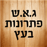 לוגו של ג.א.ש פתרונות בעץ - תמונת לוגו