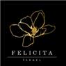 לוגו של Felicita - צורך בכל חג - תמונת לוגו