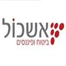 לוגו של אשכול ביטוחים ופיננסים - תמונת לוגו