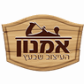 אמנון - העיצוב שבעץ בעשרת אמנון - העיצוב שבעץ בעשרת