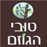טובי הגוזם בהוד השרון טובי הגוזם בהוד השרון