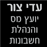 לוגו של עדי צור-יועץ מס והנהלת חשבונות - תמונת לוגו