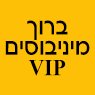 ברוך מיניבוסים VIP בתל אביב ברוך מיניבוסים VIP בתל אביב