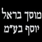 לוגו של מוסך בראל יוסף בע"מ מוסך בראל יוסף בע"מ - תמונת לוגו
