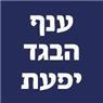 לוגו של ענף הבגד מכבסה ביפעת - תמונת לוגו