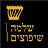 לוגו של שלמה שיפוצים שלמה שיפוצים - תמונת לוגו