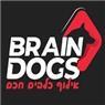 BRAIN DOGS בהודיה BRAIN DOGS בהודיה