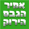 אמיר הגבס הירוק בסכנין אמיר הגבס הירוק בסכנין