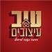 Tsvi - תמונה