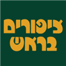 ציפורים בראש בחיפה ציפורים בראש בחיפה