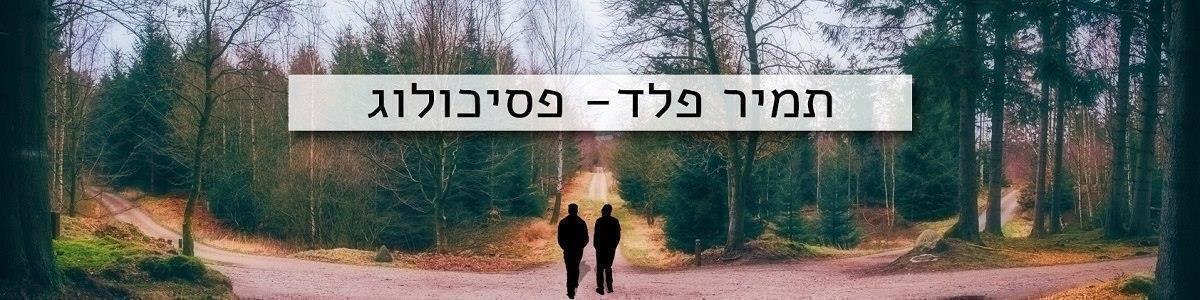 תמיר פלד פסיכולוג - תמונה ראשית