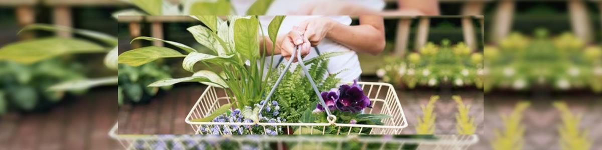 Flower Market - תמונה ראשית