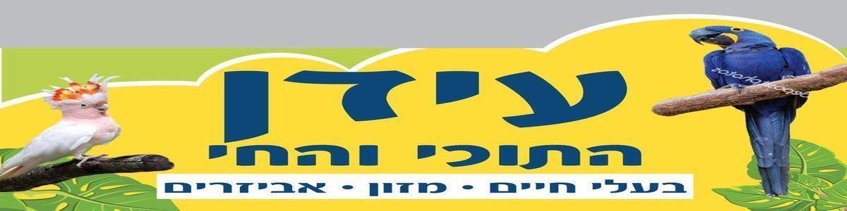 עידן התוכי והחי - תמונה ראשית עידן התוכי והחי - תמונה ראשית