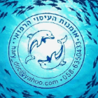 אהרון וינגרטן אומנות העיסוי הרפואי ברמת גן