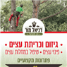 דניאל מור -גיזום וכריתת עצים בירושלים