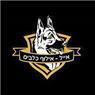 אייל אילוף כלבים בירושלים