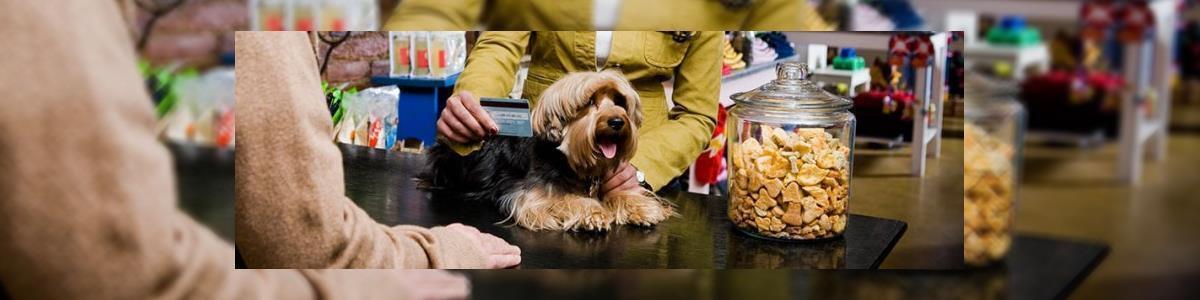 פט צ'ויס pet choice - תמונה ראשית