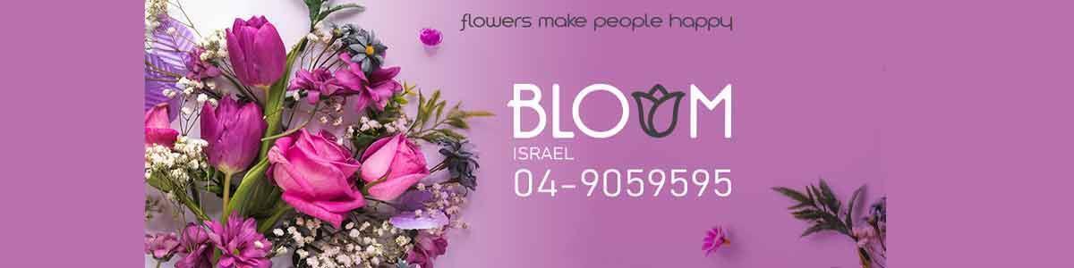 bloom israel rosh-pina - תמונה ראשית