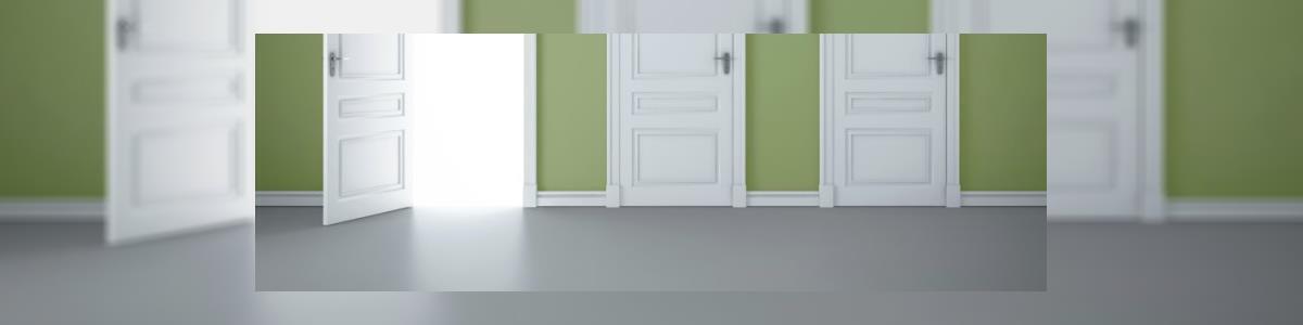 Styledoor דלתות - תמונה ראשית