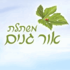 משתלת אור גנים נקודת חן בנתניה