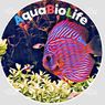 Aqua BioLife - תחזוקת אקווריומים ובריכות נוי בעפולה