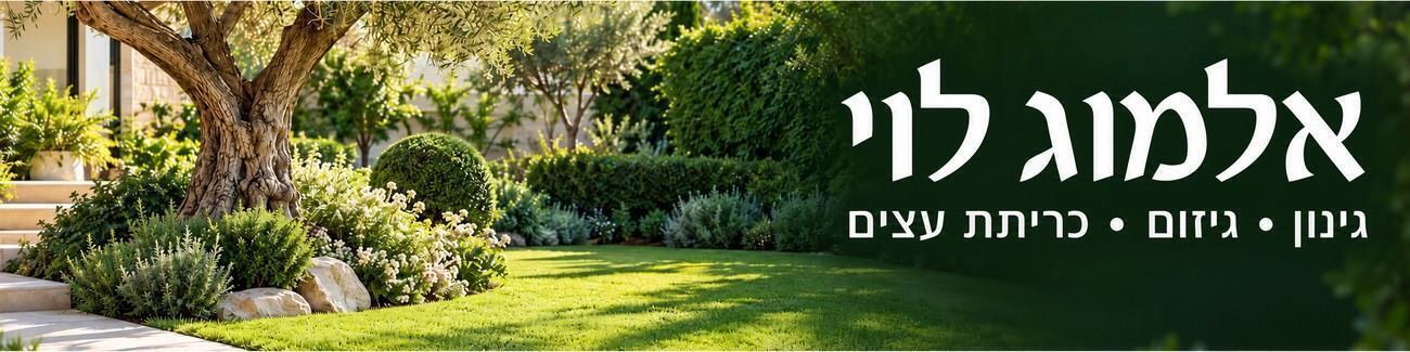 אלמוג לוי - תמונה ראשית אלמוג לוי - תמונה ראשית