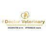 דוקטור וטרינרי - doctor veterinary | מרפאה, מספרת חיות, מזון לחיות בראש פינה דוקטור וטרינרי - doctor veterinary | מרפאה, מספרת חיות, מזון לחיות בראש פינה