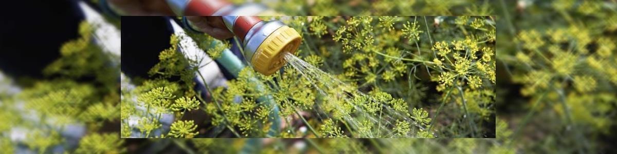 חנוך הדברות - תמונה ראשית חנוך הדברות - תמונה ראשית