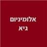 אלומניום גיא בטבריה