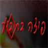 פיצה בריבוע בקרית גת