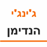 ג'ינג'י הנדימן בעפולה ג'ינג'י הנדימן בעפולה