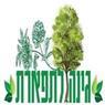 גינה לתפארת בבוקעאתא גינה לתפארת בבוקעאתא
