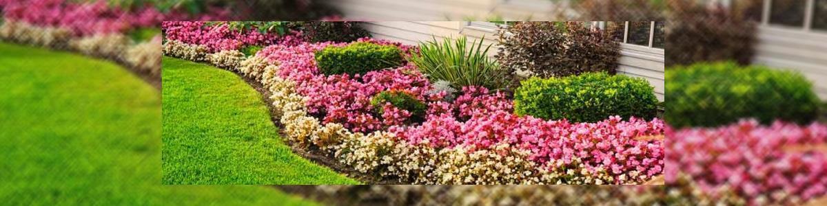 בראשית עבודות עץ - תמונה ראשית בראשית עבודות עץ - תמונה ראשית