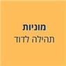 מוניות תהילה לדוד בבאר שבע