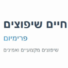 חיים שיפוצים פרימיום בירושלים