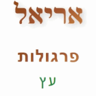 אריאל פרגולות עץ בחיפה