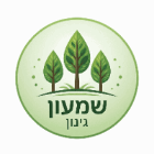 שמעון גינון בטבריה