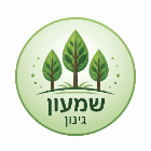 שמעון גינון בטבריה