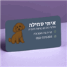 אילוף בדרך חיובית בקרית גת