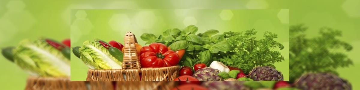 KETO & DALP - תזונה הקטוגנית ודל פחמימה - תמונה ראשית KETO & DALP - תזונה הקטוגנית ודל פחמימה - תמונה ראשית