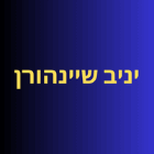 יניב שיינהורן בתל מונד
