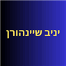יניב שיינהורן בתל מונד