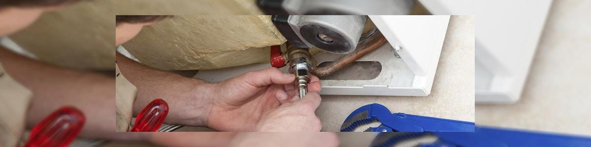 רמי שמואל דודי שמש - תמונה ראשית