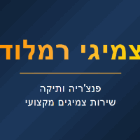 צמיגי רמלוד ברמלה צמיגי רמלוד ברמלה