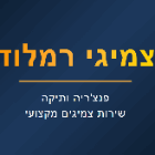 צמיגי רמלוד ברמלה צמיגי רמלוד ברמלה