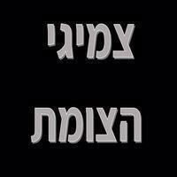 צמיגי הצומת בחיפה