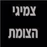 צמיגי הצומת - פתוח בשבת