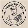 פרץ של חשמל
